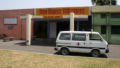 इंसानों और जानवरों के लिए एक अस्पताल, एक ही मशीन से एक्सरे; जानें क्या है माझरा